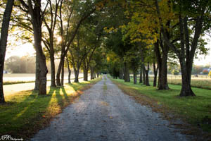 Rural Driveway at Sunset