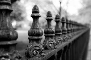 Fence close up